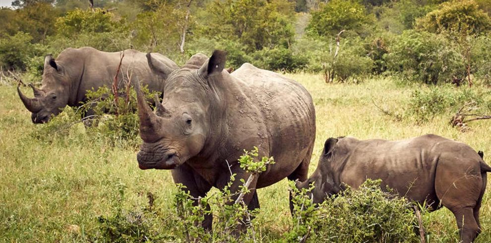 Mubare Tours Ltd experiences