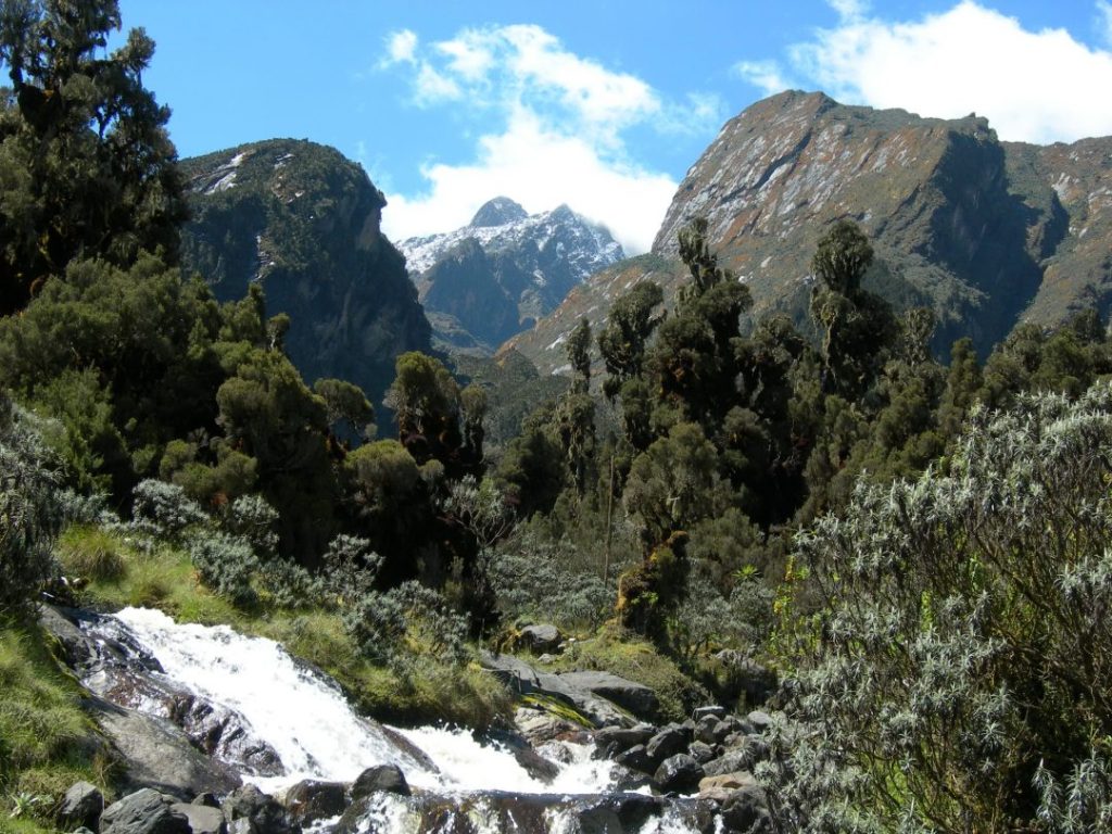 Rwenzori Mountains National Park
