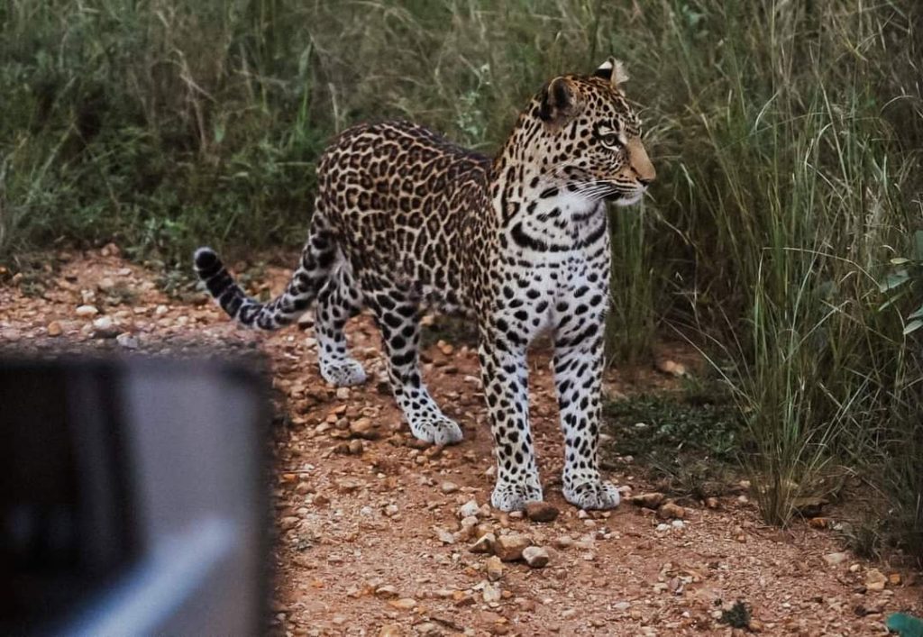 Lake Mburo National Park Uganda