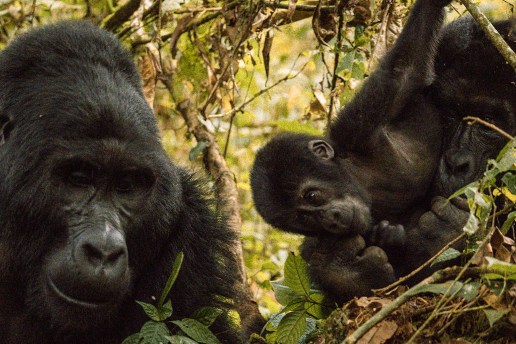 Where to Stay in Uganda